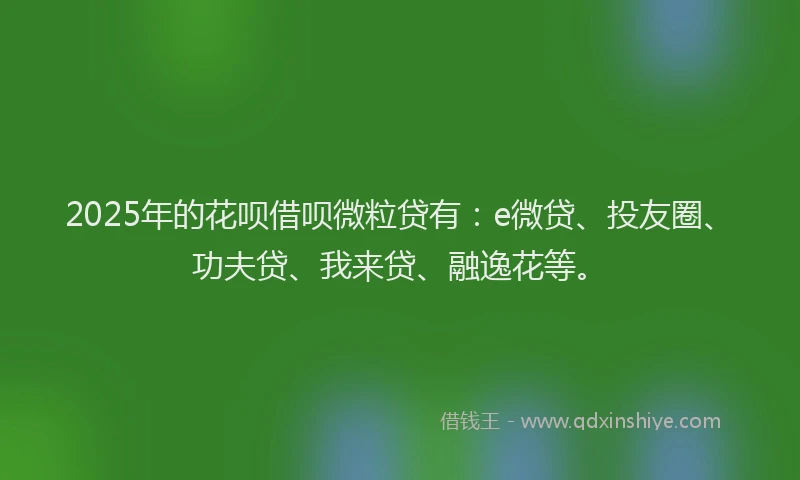2025年的花呗借呗微粒贷有：e微贷、投友圈、功夫贷、我来贷、融逸花等。