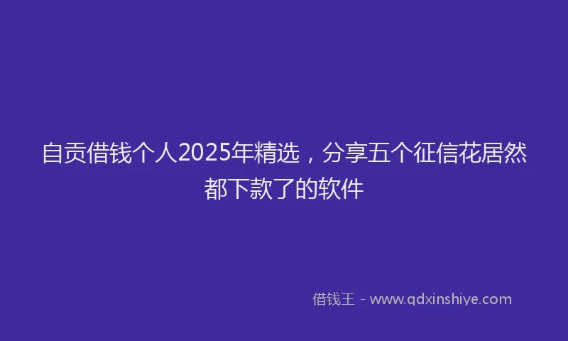 自贡借钱个人2025年精选，分享五个征信花居然都下款了的软件