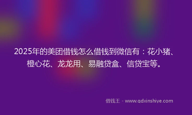 2025年的美团借钱怎么借钱到微信有：花小猪、橙心花、龙龙用、易融贷盒、信贷宝等。