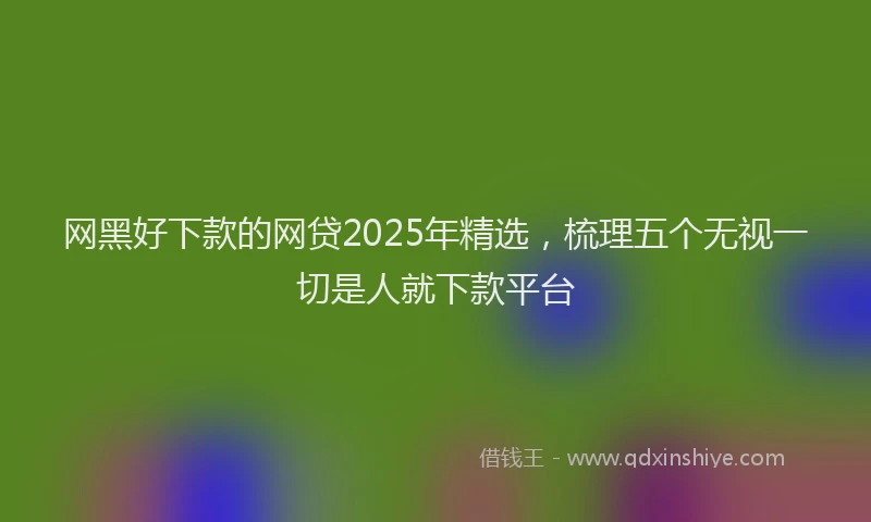 网黑好下款的网贷2025年精选，梳理五个无视一切是人就下款平台
