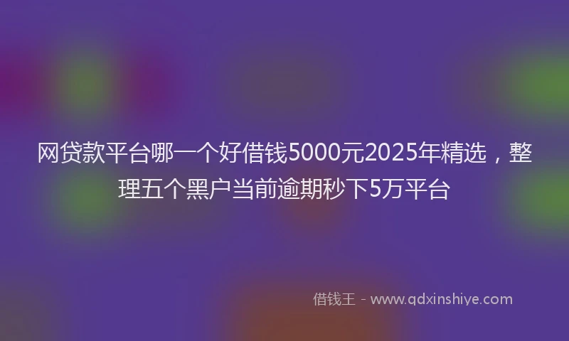 网贷款平台哪一个好借钱5000元2025年精选，整理五个黑户当前逾期秒下5万平台
