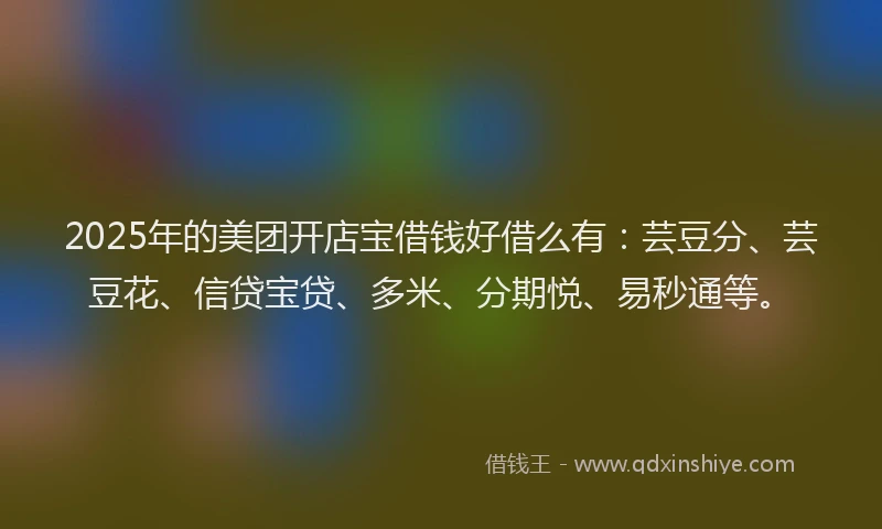 2025年的美团开店宝借钱好借么有：芸豆分、芸豆花、信贷宝贷、多米、分期悦、易秒通等。