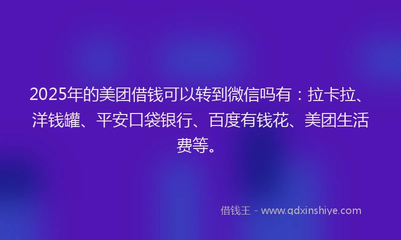 2025年的美团借钱可以转到微信吗有：拉卡拉、洋钱罐、平安口袋银行、百度有钱花、美团生活费等。