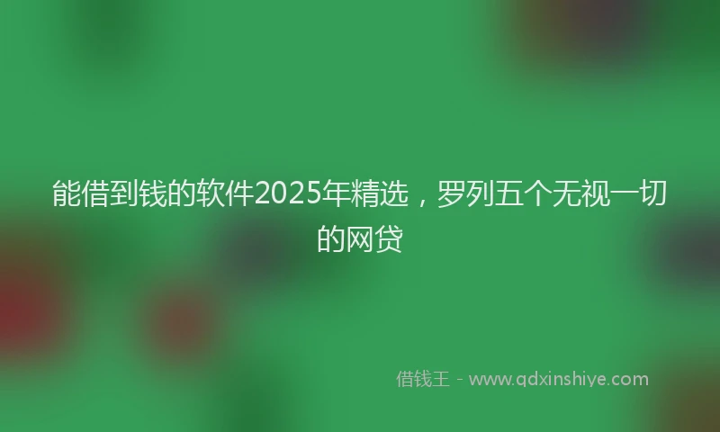 能借到钱的软件2025年精选，罗列五个无视一切的网贷
