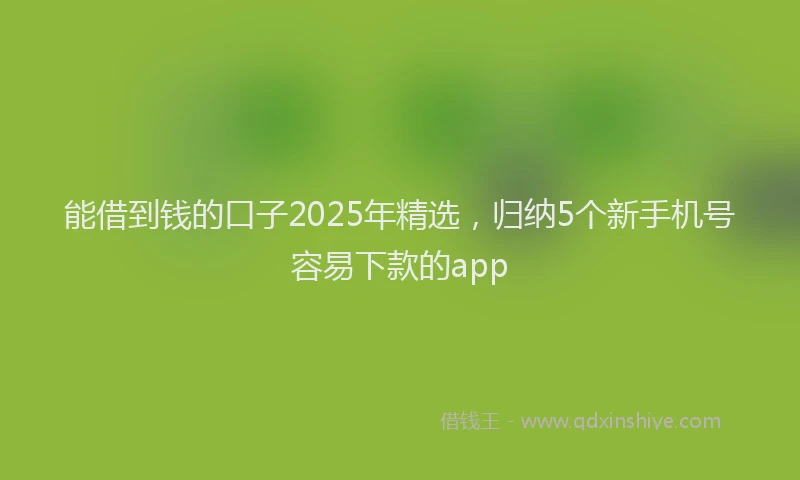 能借到钱的口子2025年精选，归纳5个新手机号容易下款的app