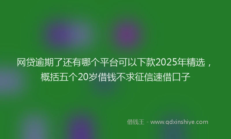 网贷逾期了还有哪个平台可以下款2025年精选，概括五个20岁借钱不求征信速借口子