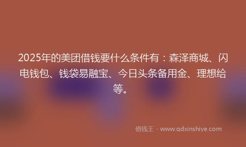 2025年的美团借钱要什么条件有：森泽商城、闪电钱包、钱袋易融宝、今日头条备用金、理想给等。