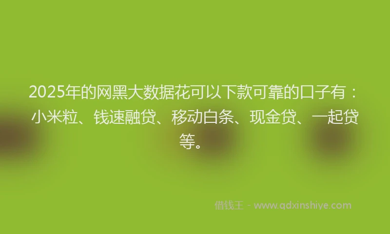 2025年的网黑大数据花可以下款可靠的口子有：小米粒、钱速融贷、移动白条、现金贷、一起贷等。