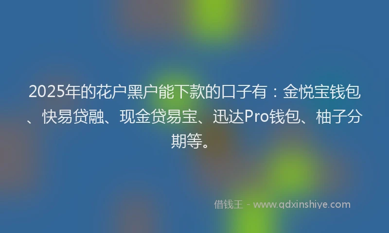 2025年的花户黑户能下款的口子有：金悦宝钱包、快易贷融、现金贷易宝、迅达Pro钱包、柚子分期等。