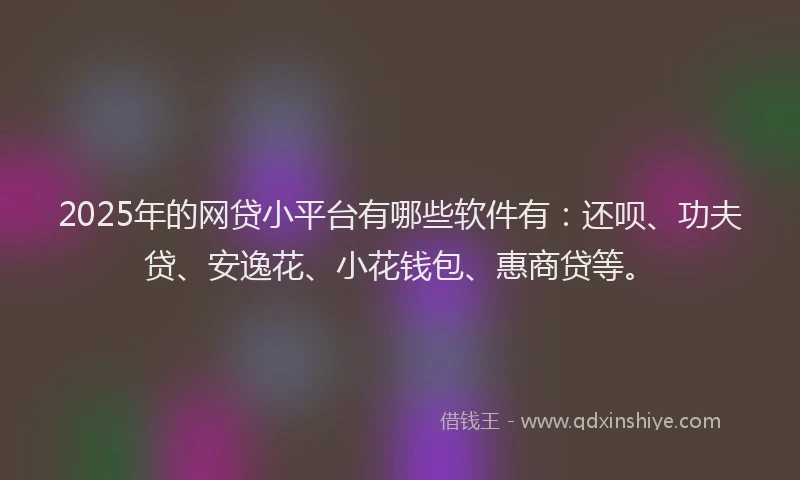 2025年的网贷小平台有哪些软件有：还呗、功夫贷、安逸花、小花钱包、惠商贷等。