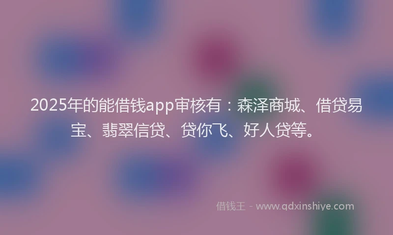 2025年的能借钱app审核有：森泽商城、借贷易宝、翡翠信贷、贷你飞、好人贷等。