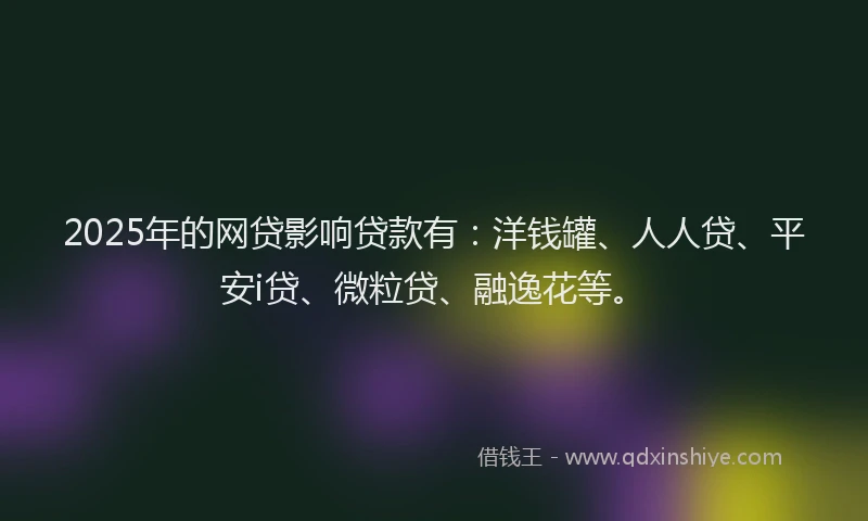 2025年的网贷影响贷款有：洋钱罐、人人贷、平安i贷、微粒贷、融逸花等。