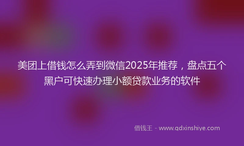 美团上借钱怎么弄到微信2025年推荐，盘点五个黑户可快速办理小额贷款业务的软件