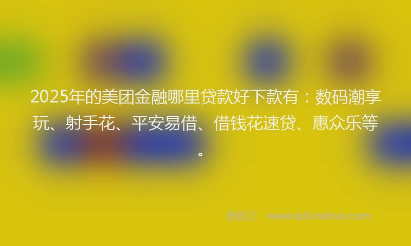 2025年的美团金融哪里贷款好下款有：数码潮享玩、射手花、平安易借、借钱花速贷、惠众乐等。