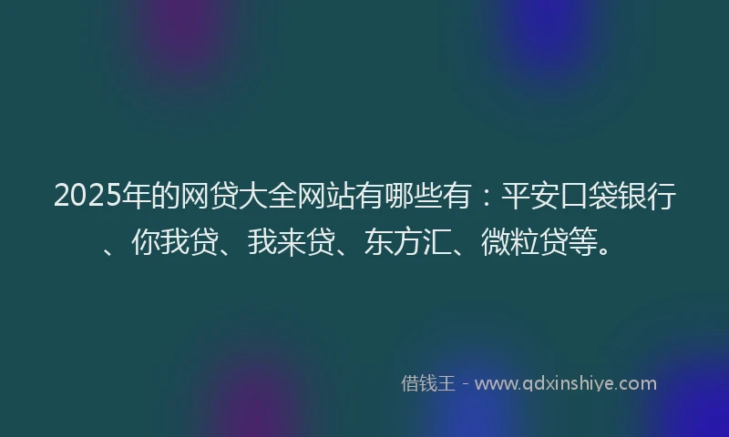 2025年的网贷大全网站有哪些有：平安口袋银行、你我贷、我来贷、东方汇、微粒贷等。