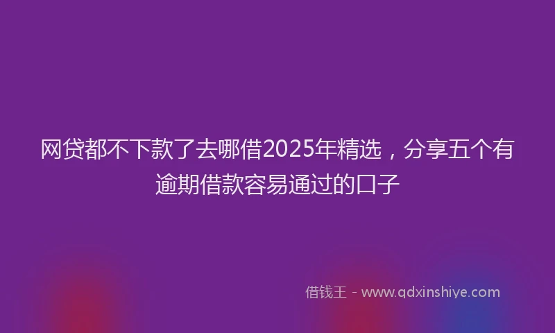 网贷都不下款了去哪借2025年精选，分享五个有逾期借款容易通过的口子