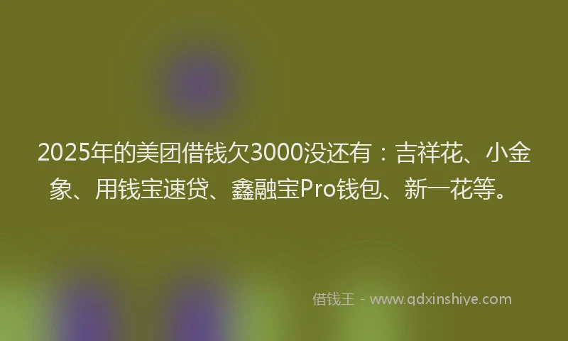 2025年的美团借钱欠3000没还有：吉祥花、小金象、用钱宝速贷、鑫融宝Pro钱包、新一花等。