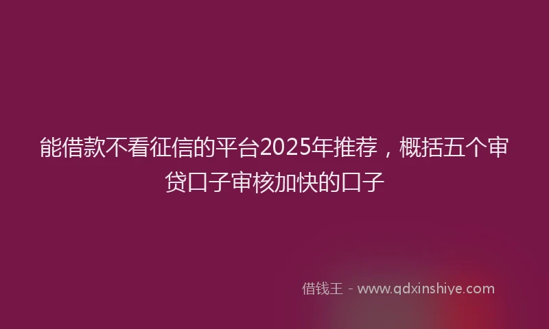 能借款不看征信的平台2025年推荐，概括五个审贷口子审核加快的口子