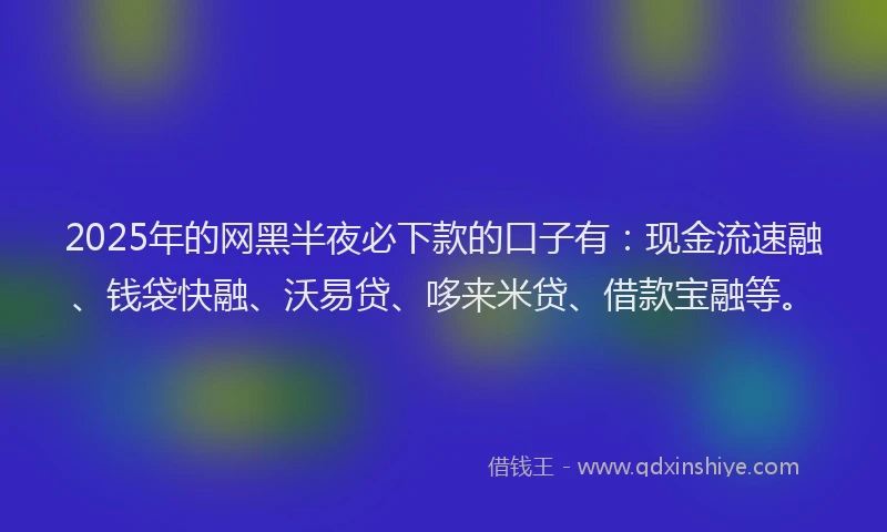 2025年的网黑半夜必下款的口子有：现金流速融、钱袋快融、沃易贷、哆来米贷、借款宝融等。