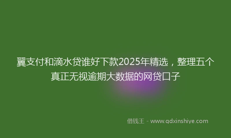 翼支付和滴水贷谁好下款2025年精选，整理五个真正无视逾期大数据的网贷口子