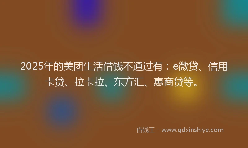2025年的美团生活借钱不通过有：e微贷、信用卡贷、拉卡拉、东方汇、惠商贷等。