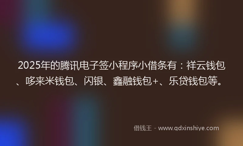 2025年的腾讯电子签小程序小借条有：祥云钱包、哆来米钱包、闪银、鑫融钱包+、乐贷钱包等。