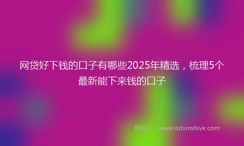 网贷好下钱的口子有哪些2025年精选，梳理5个最新能下来钱的口子