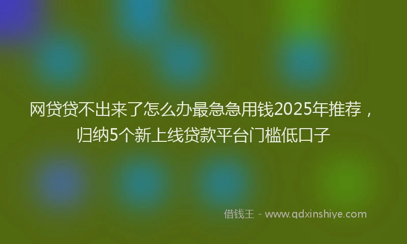 网贷贷不出来了怎么办最急急用钱2025年推荐，归纳5个新上线贷款平台门槛低口子