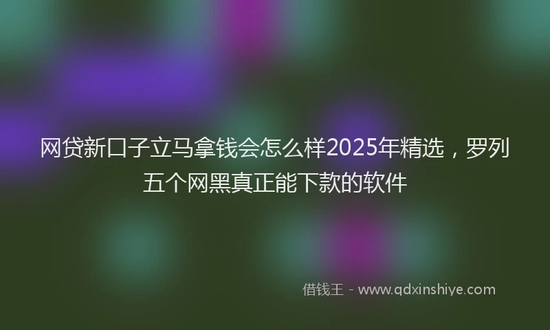 网贷新口子立马拿钱会怎么样2025年精选，罗列五个网黑真正能下款的软件