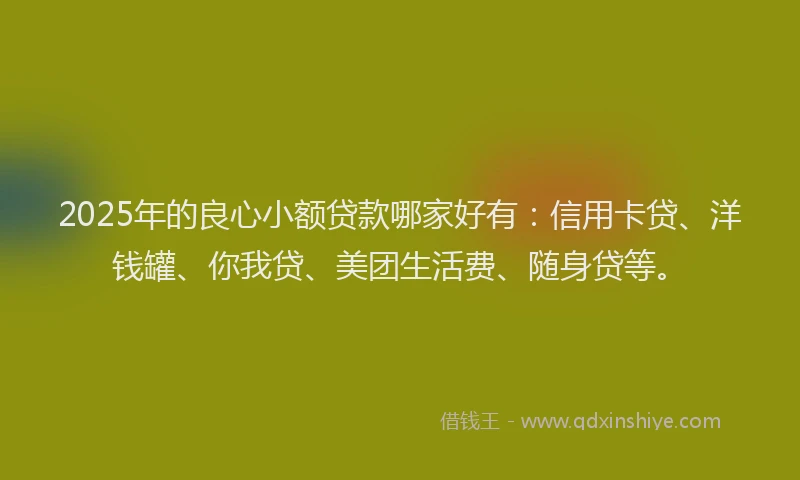 2025年的良心小额贷款哪家好有：信用卡贷、洋钱罐、你我贷、美团生活费、随身贷等。