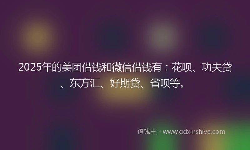 2025年的美团借钱和微信借钱有：花呗、功夫贷、东方汇、好期贷、省呗等。