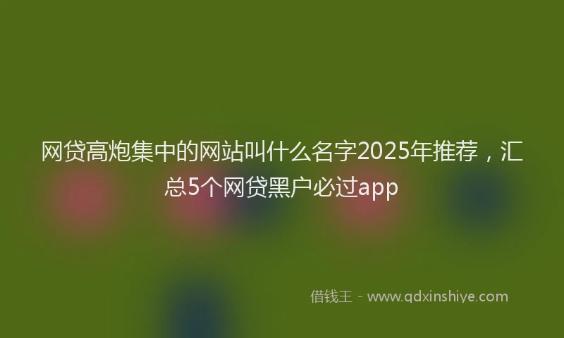 网贷高炮集中的网站叫什么名字2025年推荐，汇总5个网贷黑户必过app