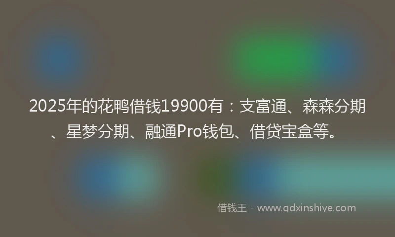 2025年的花鸭借钱19900有：支富通、森森分期、星梦分期、融通Pro钱包、借贷宝盒等。