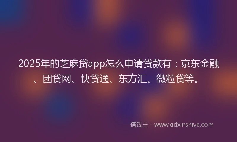 2025年的芝麻贷app怎么申请贷款有：京东金融、团贷网、快贷通、东方汇、微粒贷等。
