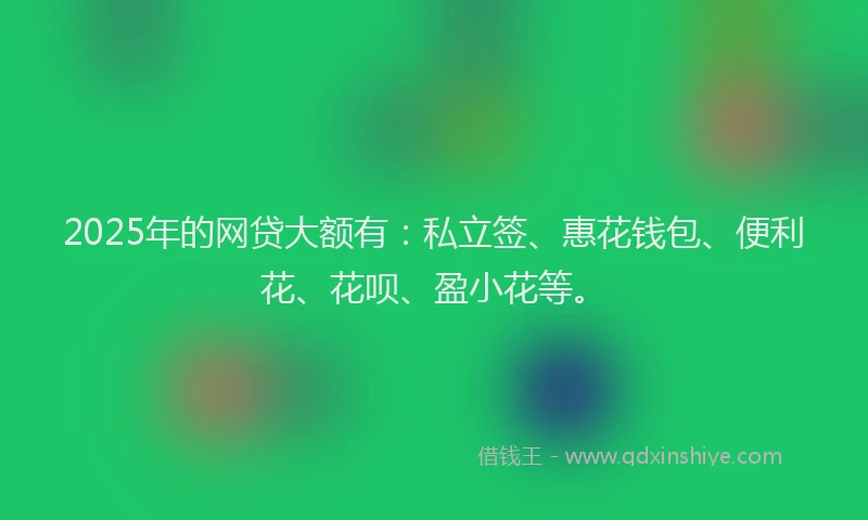 2025年的网贷大额有：私立签、惠花钱包、便利花、花呗、盈小花等。