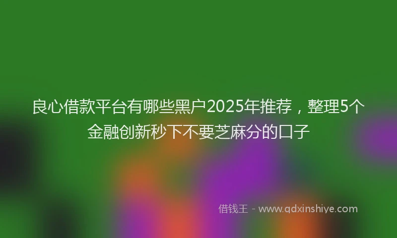 良心借款平台有哪些黑户2025年推荐，整理5个金融创新秒下不要芝麻分的口子