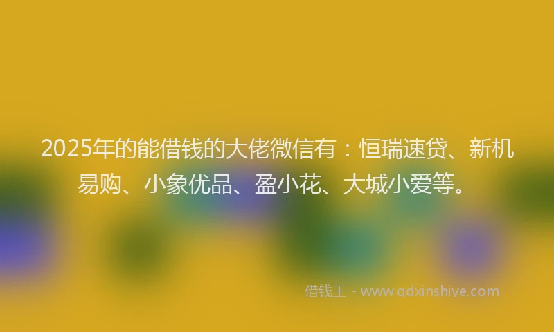 2025年的能借钱的大佬微信有：恒瑞速贷、新机易购、小象优品、盈小花、大城小爱等。