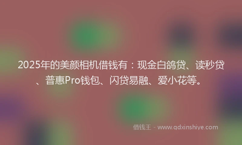 2025年的美颜相机借钱有：现金白鸽贷、读秒贷、普惠Pro钱包、闪贷易融、爱小花等。