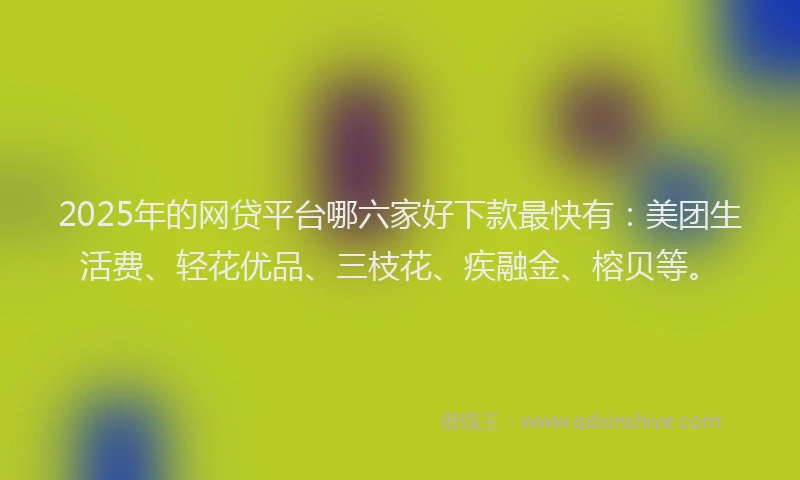 2025年的网贷平台哪六家好下款最快有：美团生活费、轻花优品、三枝花、疾融金、榕贝等。