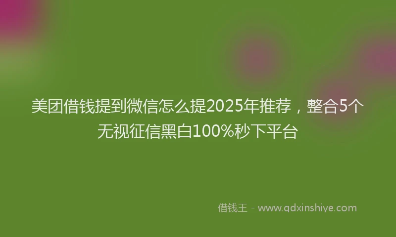 美团借钱提到微信怎么提2025年推荐，整合5个无视征信黑白100%秒下平台