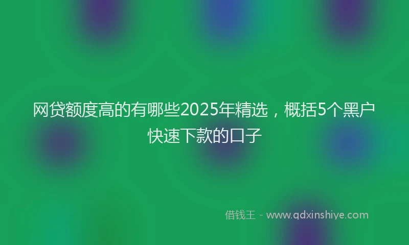 网贷额度高的有哪些2025年精选，概括5个黑户快速下款的口子