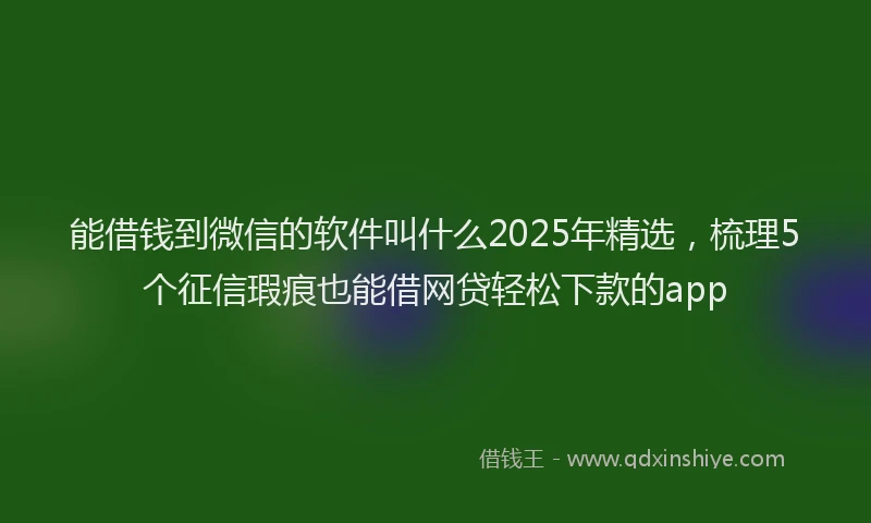 能借钱到微信的软件叫什么2025年精选，梳理5个征信瑕疵也能借网贷轻松下款的app