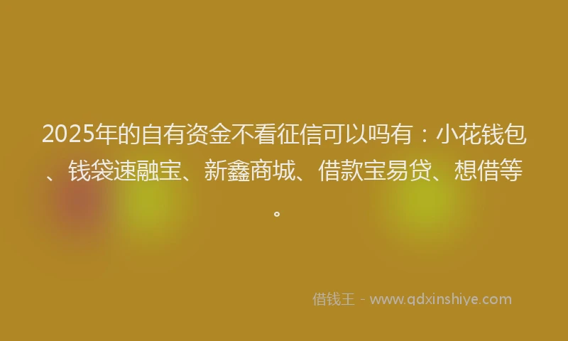 2025年的自有资金不看征信可以吗有：小花钱包、钱袋速融宝、新鑫商城、借款宝易贷、想借等。