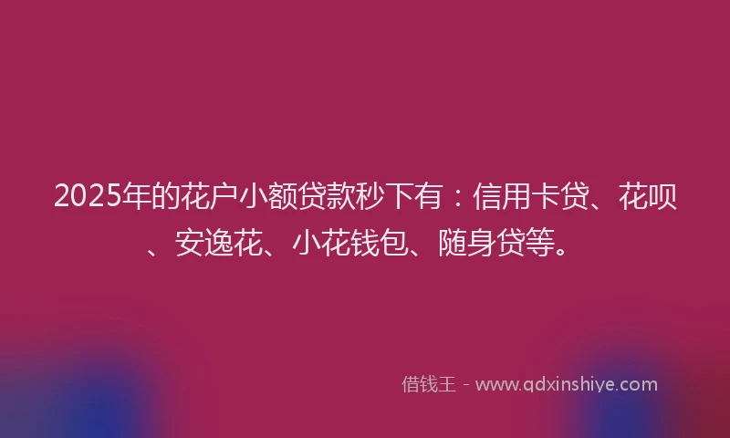 2025年的花户小额贷款秒下有：信用卡贷、花呗、安逸花、小花钱包、随身贷等。