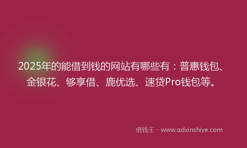 2025年的能借到钱的网站有哪些有：普惠钱包、金银花、够享借、鹿优选、速贷Pro钱包等。