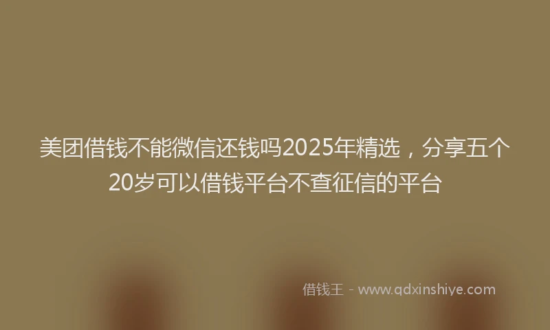 美团借钱不能微信还钱吗2025年精选，分享五个20岁可以借钱平台不查征信的平台