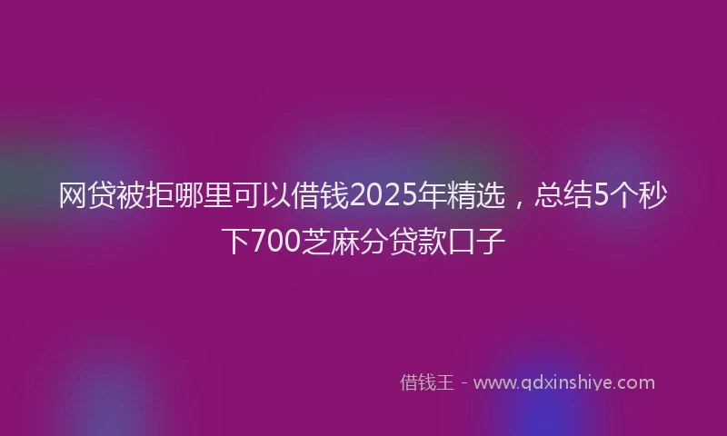 网贷被拒哪里可以借钱2025年精选，总结5个秒下700芝麻分贷款口子