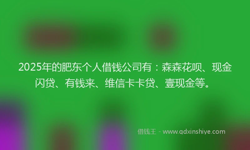 2025年的肥东个人借钱公司有：森森花呗、现金闪贷、有钱来、维信卡卡贷、壹现金等。