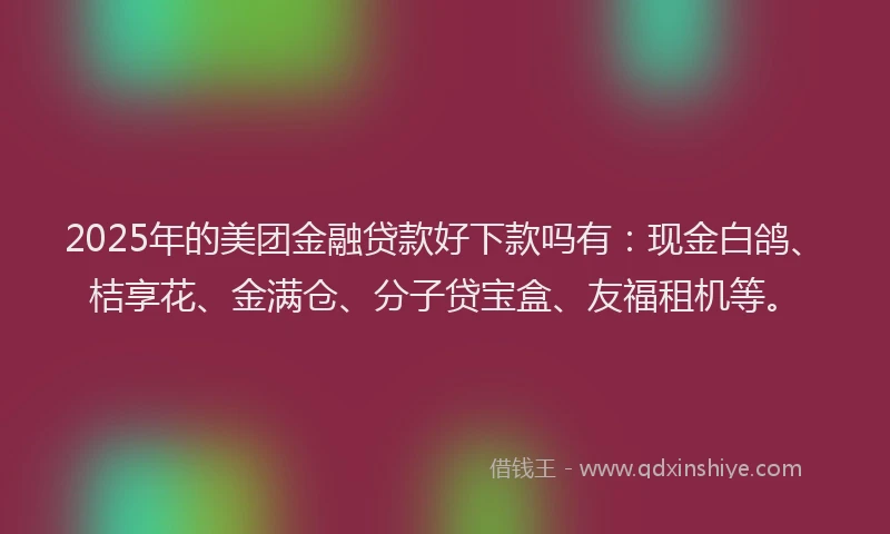 2025年的美团金融贷款好下款吗有：现金白鸽、桔享花、金满仓、分子贷宝盒、友福租机等。