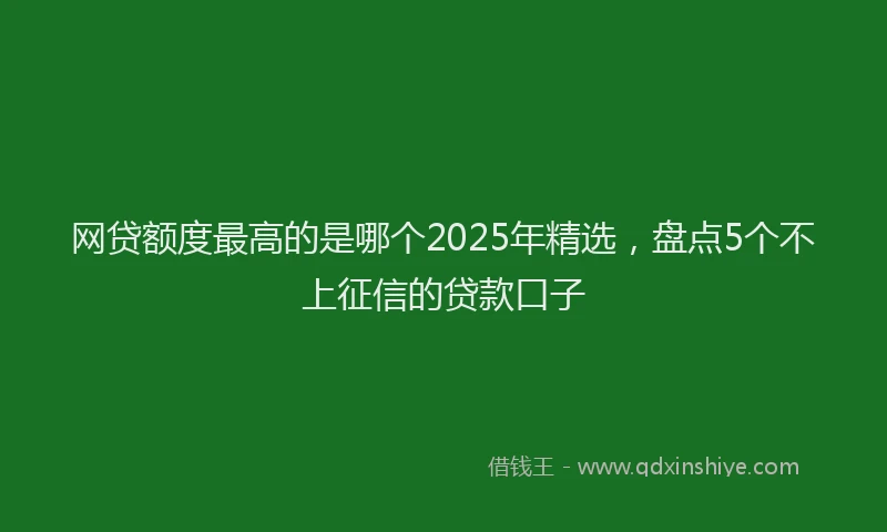 网贷额度最高的是哪个2025年精选，盘点5个不上征信的贷款口子